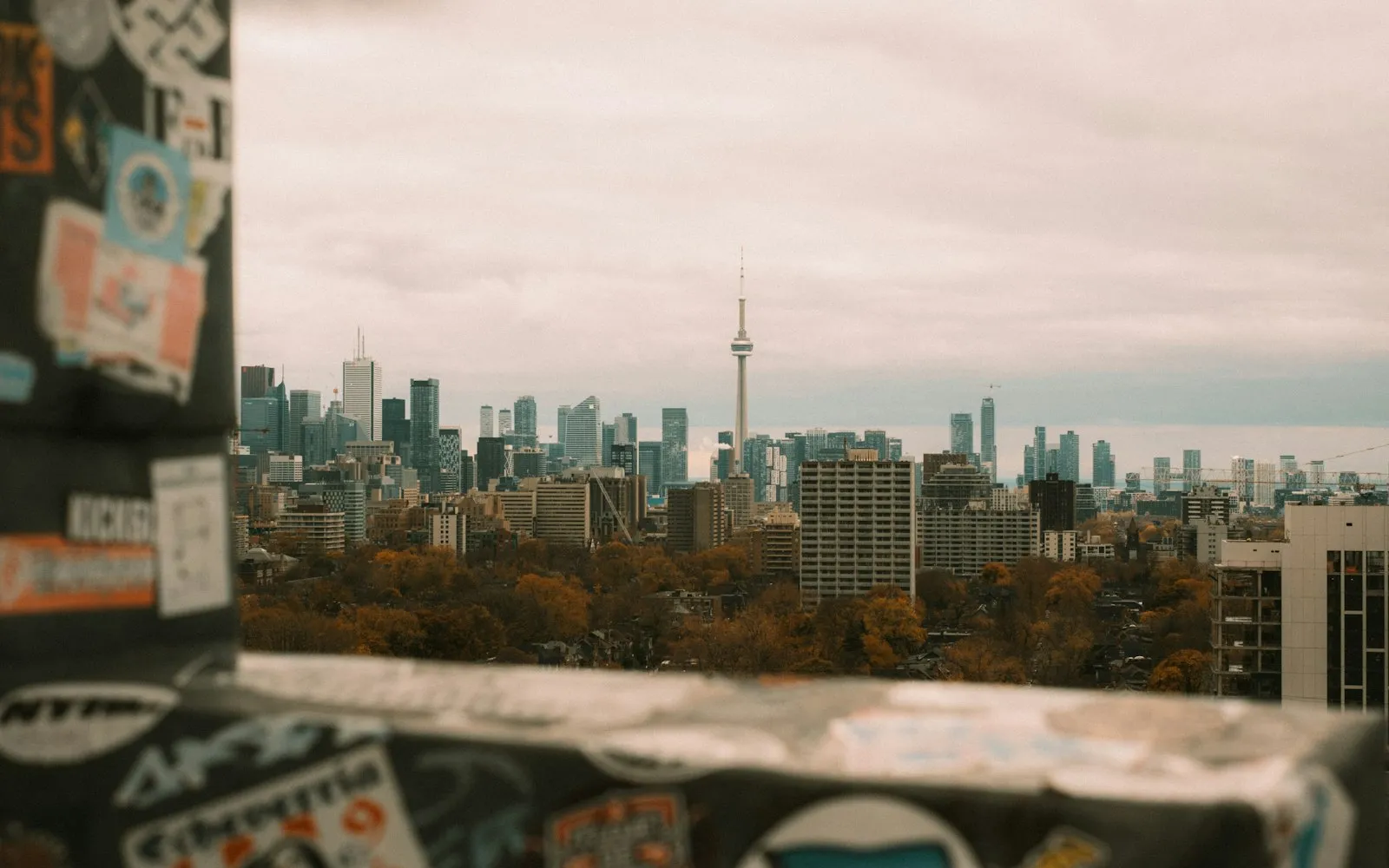 The Toronto skyline and CN Tower seen from a rooftop on an overcast autumn day, with trees below