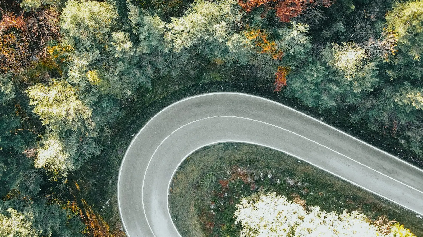 An aerial view of a curving two-lane road with white edge lines running through autumn forest
