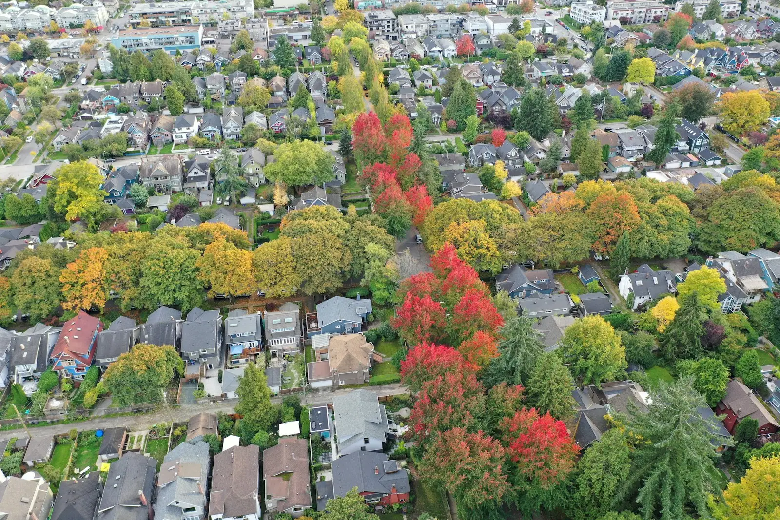 An aerial view of a residential neighbourhood in Vancouver with houses and trees in autumn colours
